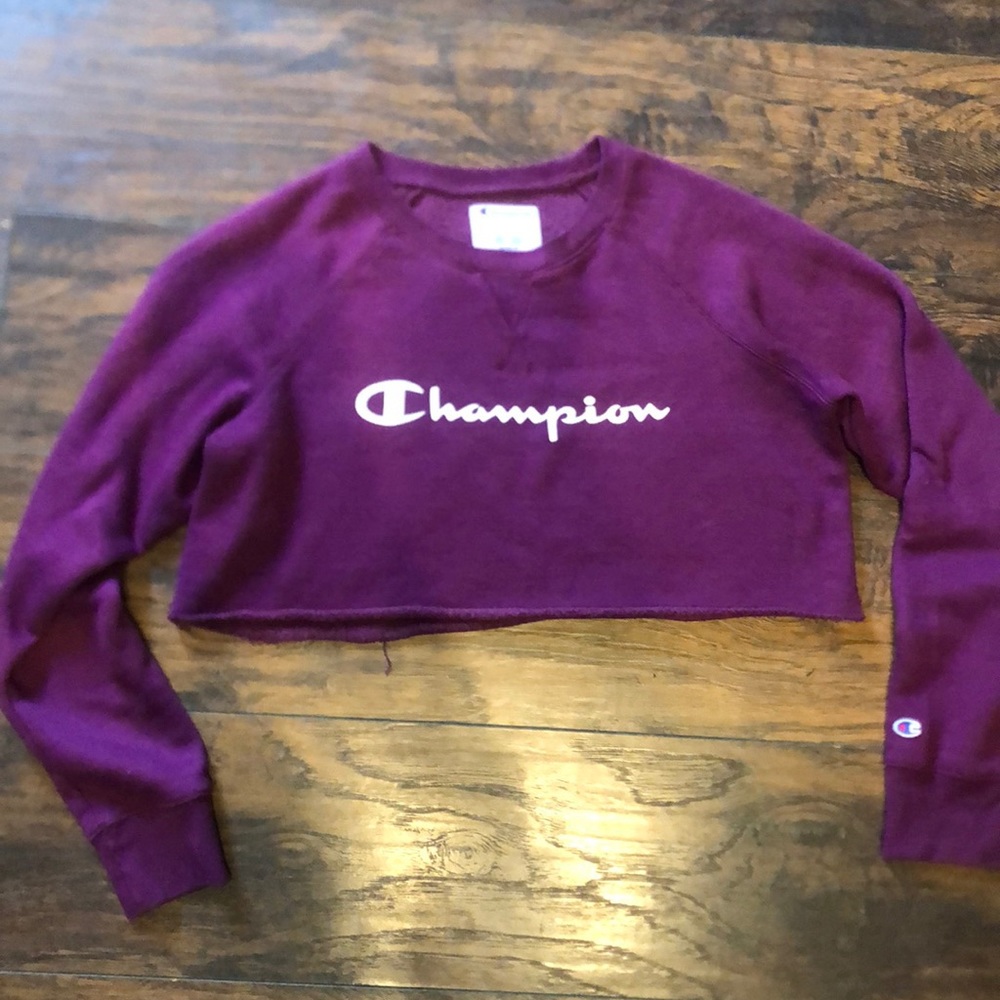 Champion Sweater
